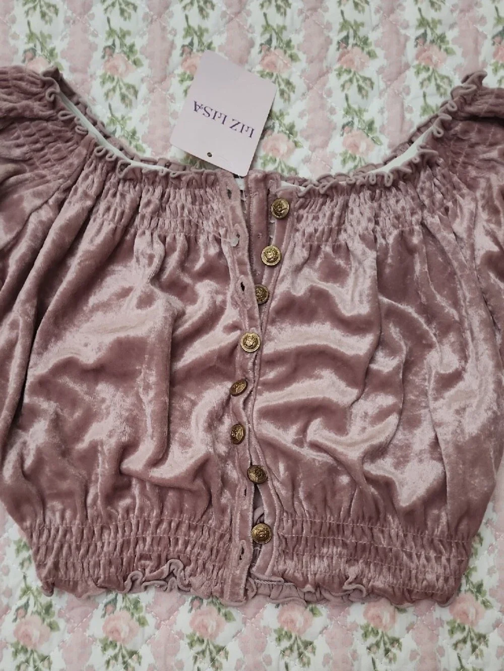 NWT LIZ LISA 🎀 Mauve Velvet Off-Shoulder Crop Top Front Button Open